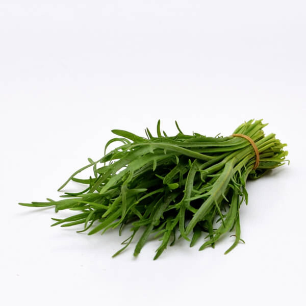 Produktfoto zu Infoblatt Hirschhornwegerich