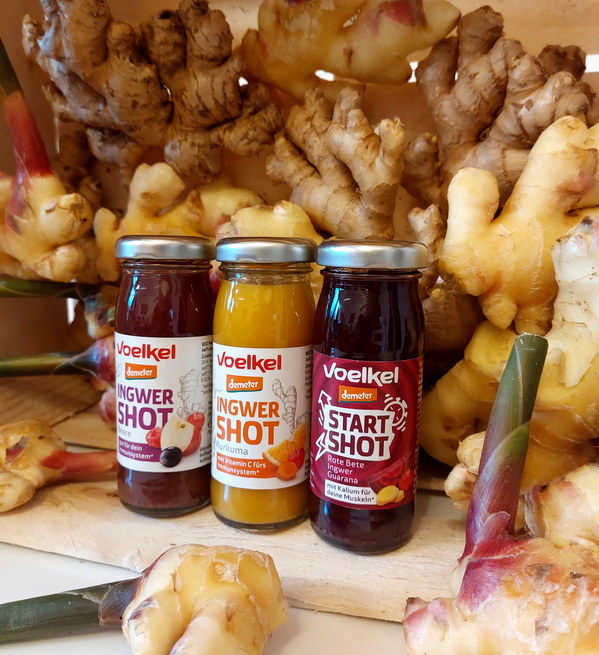 KI generiert: Drei Flaschen Voelkel Shots mit Ingwer und Kurkuma vor Ingwerwurzeln. Text: "Ingwer Shot", "Start Shot".