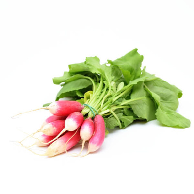 Produktfoto zu Radieschen Bund, längliche