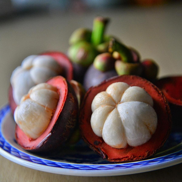 Produktfoto zu Mangostan