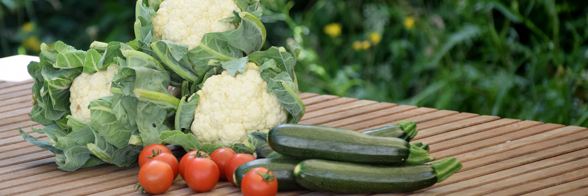 Blumenkohl, Zucchini & Tomaten aus der Region