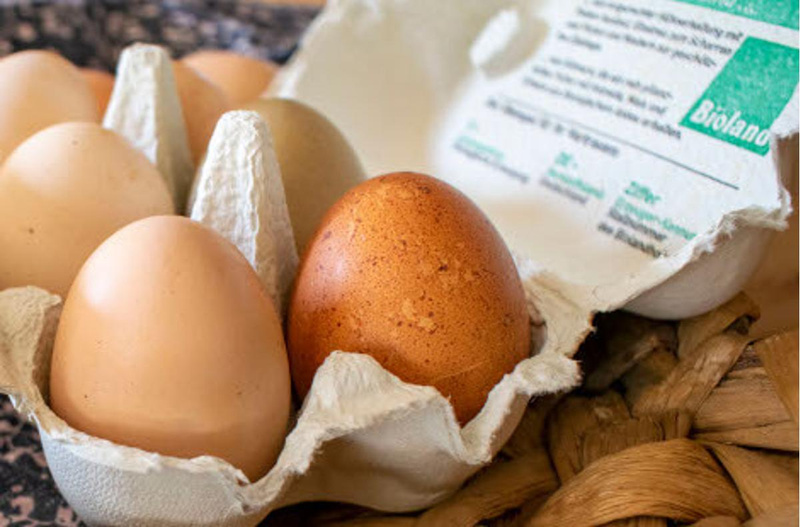 Eier, Käse & Milchprodukte aus der Region