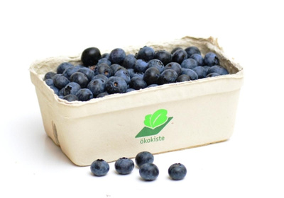 Produktfoto zu Heidelbeeren 250g
