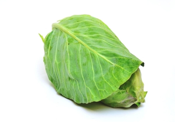 Produktfoto zu Spitzkohl grün ca. 700 g
