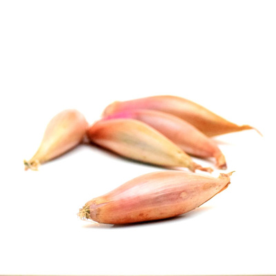 Produktfoto zu Zwiebel Cuisse de Poulet