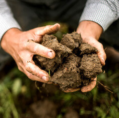 Jemand hält Erde in den Händen