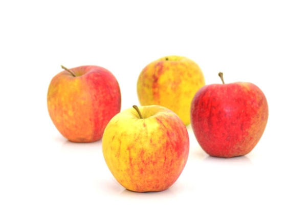 Produktfoto zu Apfel Jonagored