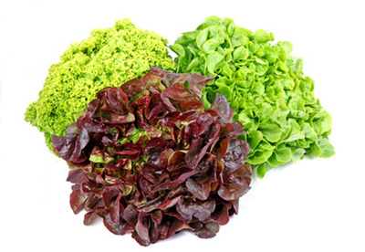 Produktfoto zu Salat, Minisalate