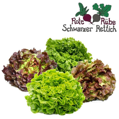 Produktfoto zu Salat der Woche Groß