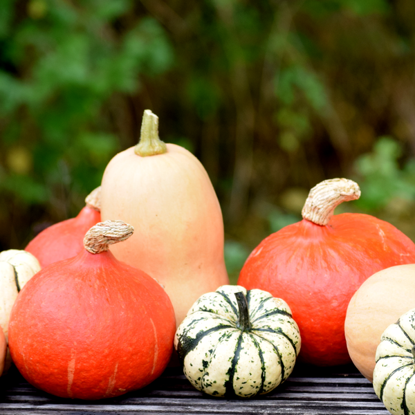 KI generiert: Verschiedene Kürbisse auf einer Holzfläche vor unscharfem grünen Hintergrund. Keine Texte im Bild.