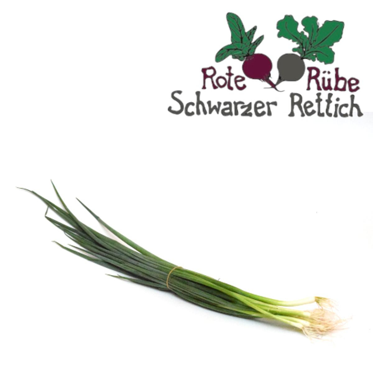 Frühlingszwiebeln