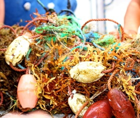 Fischernetz