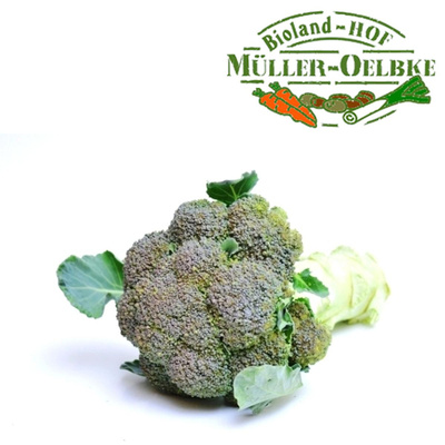 Produktfoto zu Broccoli