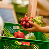 Stellenanzeige: Gemüse packen
