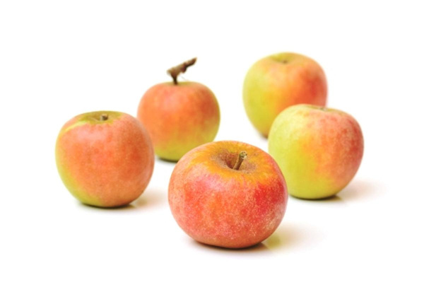 Produktfoto zu Apfel Holsteiner Cox