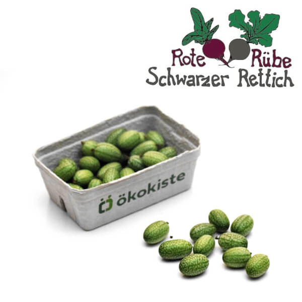 Produktfoto zu Mexikanische Minigurke 250g