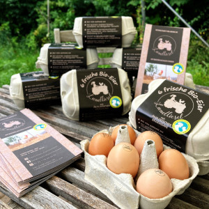 KI generiert: Packungen mit Bio-Eiern und Prospekten auf einem Holztisch. Text: "6 frische Bio-Eier Landtiere".