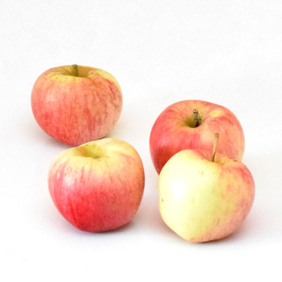 Produktfoto zu Apfel Barbarossa
