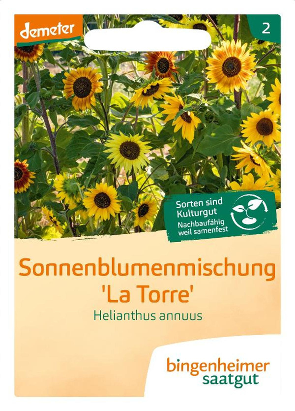Produktfoto zu Sonnenblume Saatgut