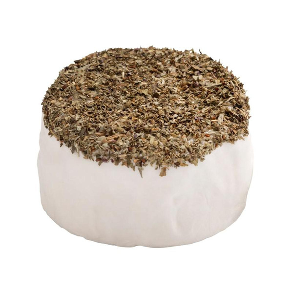 Produktfoto zu Ziegen-Bert Basilikum