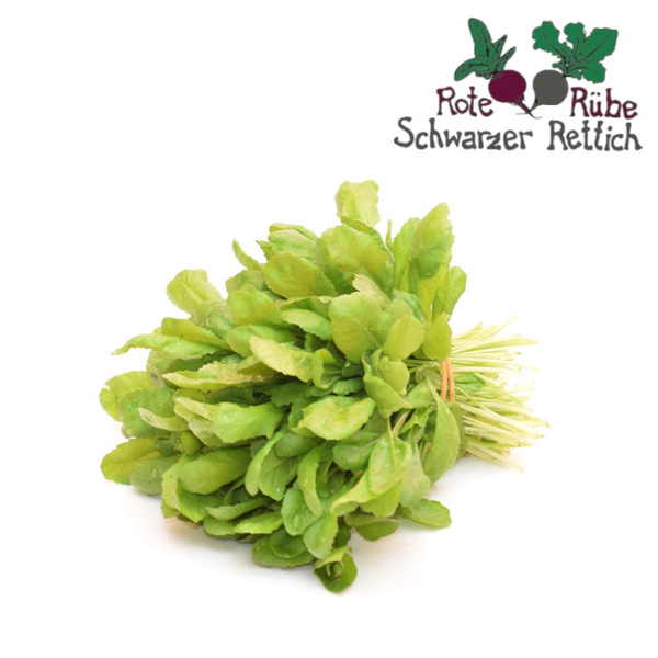 Produktfoto zu großblättrige Kresse
