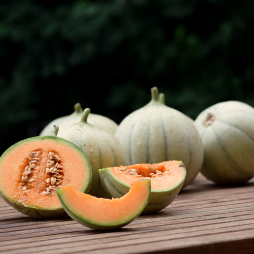 KI generiert: Melonen auf einem Holztisch, eine davon aufgeschnitten und in Stücke geschnitten.