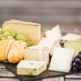Bio-Käse