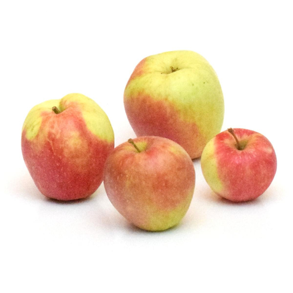 Produktfoto zu Apfel Honeycrisp
