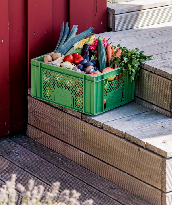 Unsere geplanten Gemüse- & Obstkisten