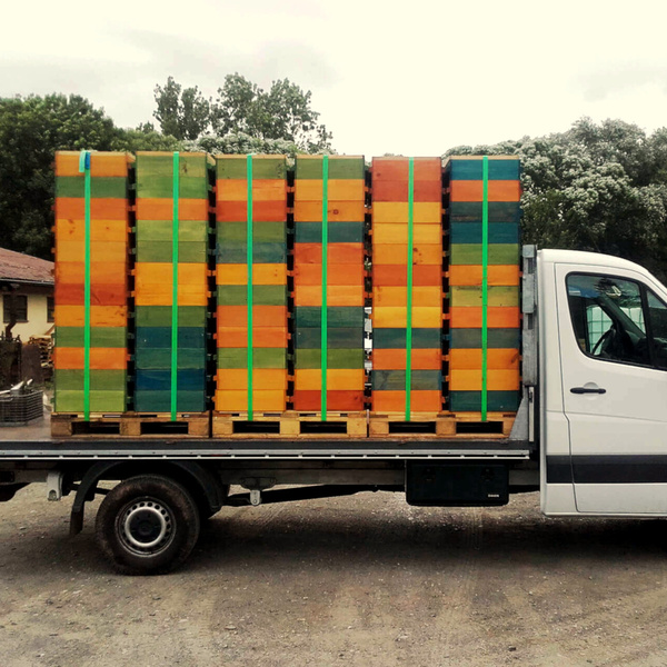 Bienenkästen auf Anhänger