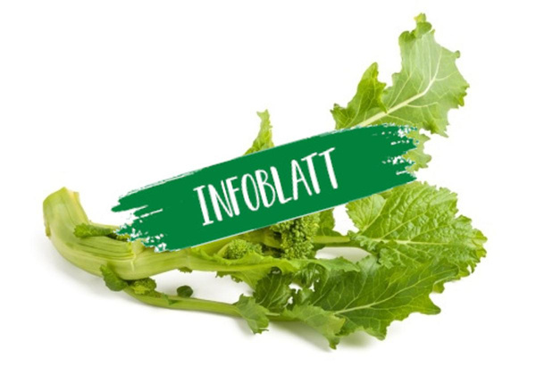 Produktfoto zu Infoblatt Cime di Rapa