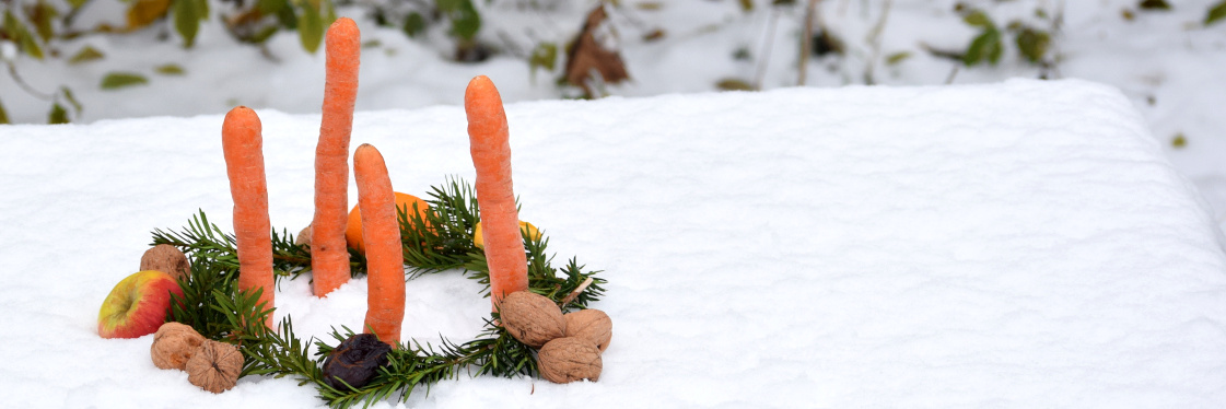 KI generiert: Das Bild zeigt Karotten, die aufrecht in einem Kranz aus Tannenzweigen im Schnee stehen, umgeben von Nüssen und Früchten. Es wirkt wie eine kreative Winter- oder Weihnachtsdekoration.