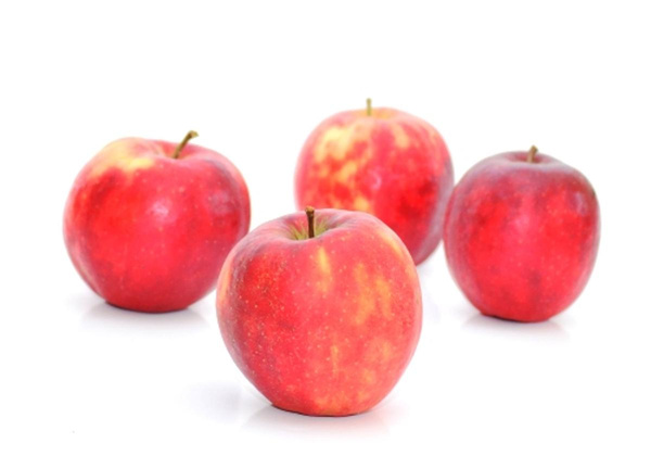 Produktfoto zu Apfel Red Jonaprince 65+