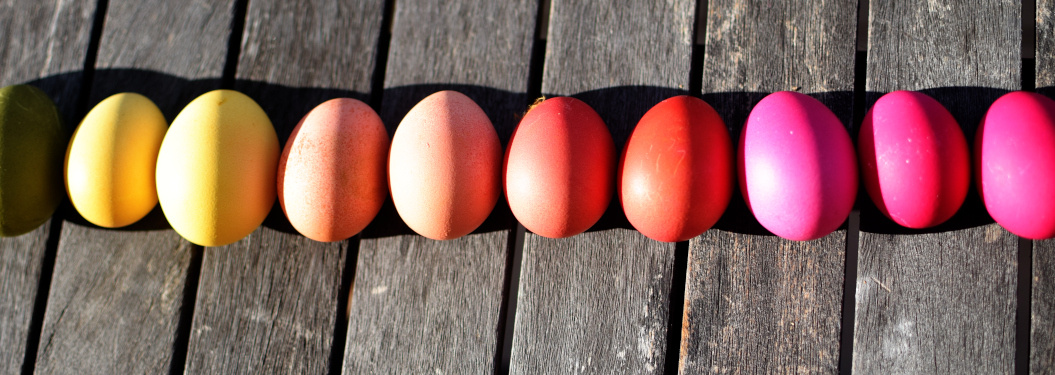 Kundenbrief: Bio-Eier mit Zukunft (KW 16/2025)