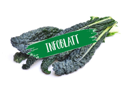 Produktfoto zu Infoblatt Schwarzkohl
