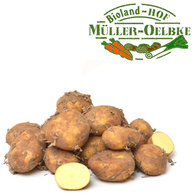 KI generiert: Mehrere Kartoffeln mit Logo "Bioland-HOF Müller-Oelbke".