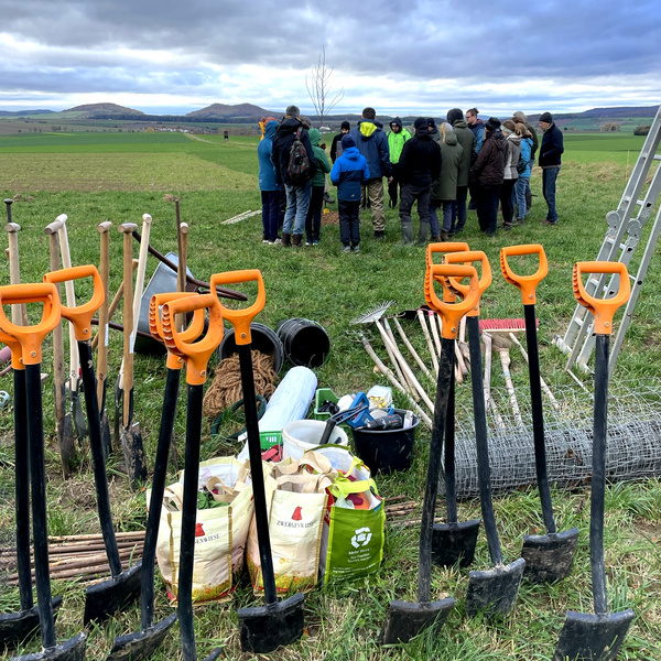 viele Spaten, die in der Erde stecken, im Hintergund bespricht sich das Pflanzteam