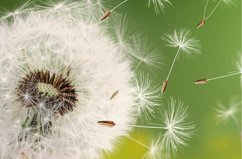 Solange der Vorrat reicht