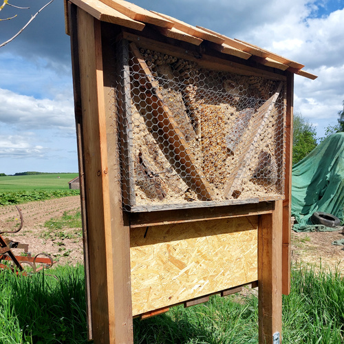 Insektenhotel