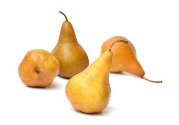 Produktfoto zu Birne Golden Russet Bosc