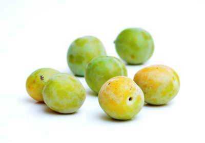 Produktfoto zu Reneklode grün