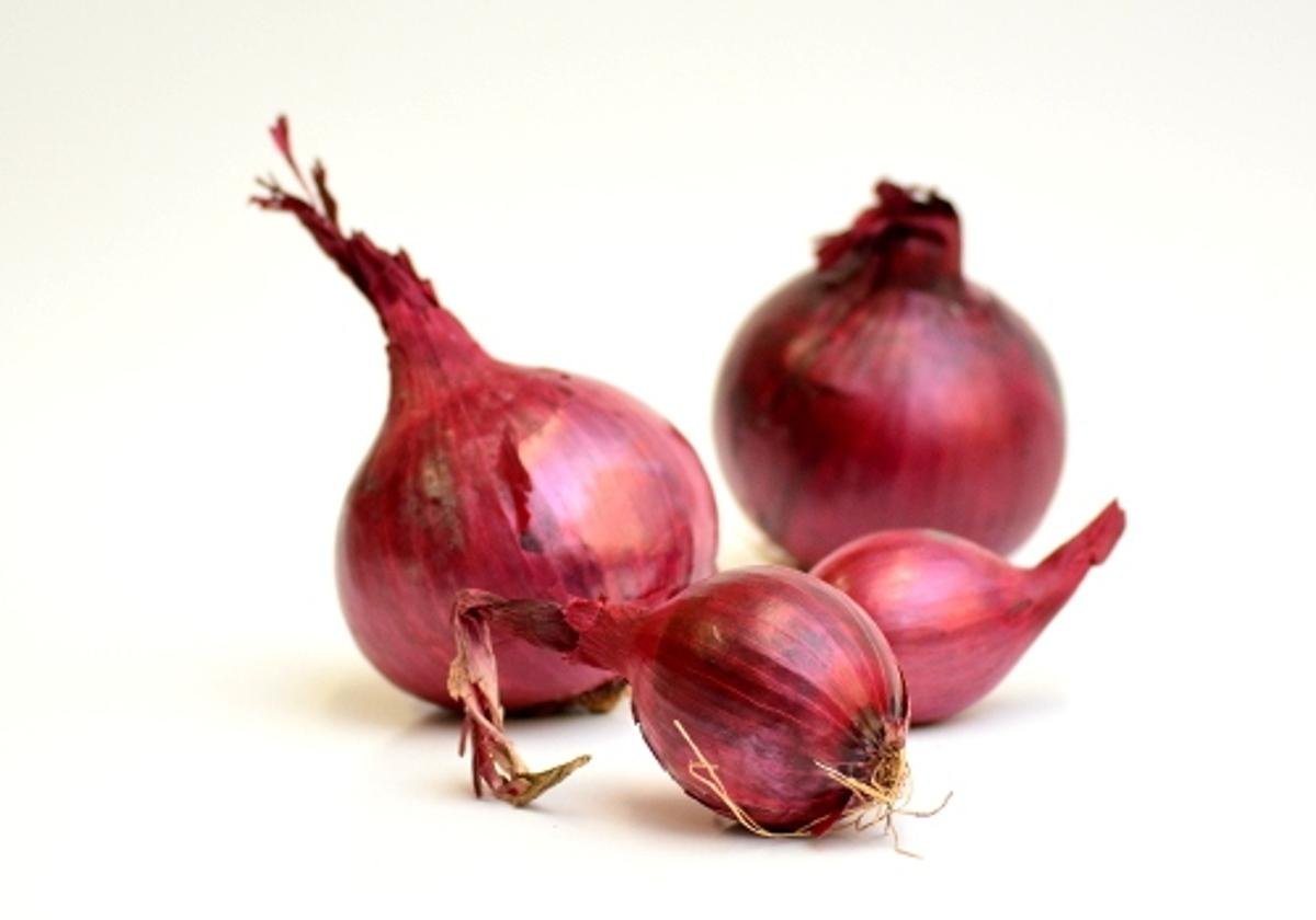 Zwiebeln rot