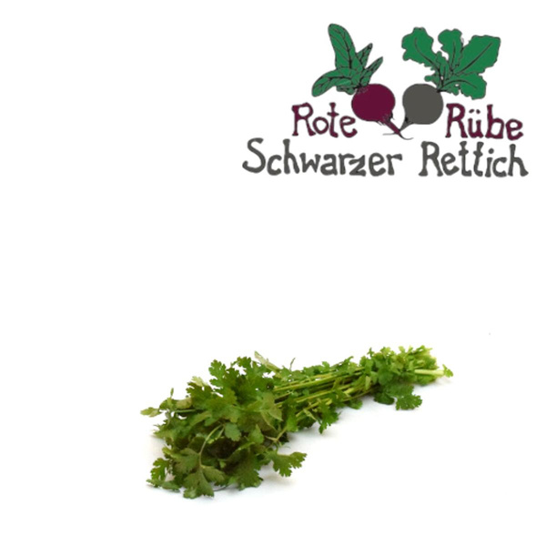Produktfoto zu Koriander Bund