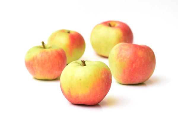 Produktfoto zu Apfel Jakob Fischer