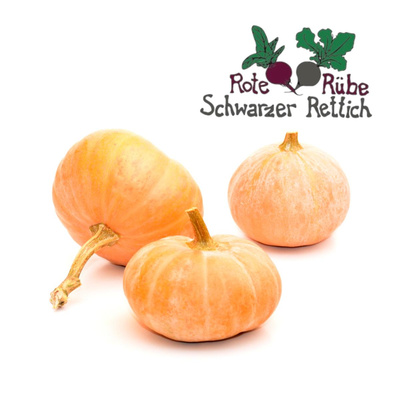 Produktfoto zu Kürbis Muskat