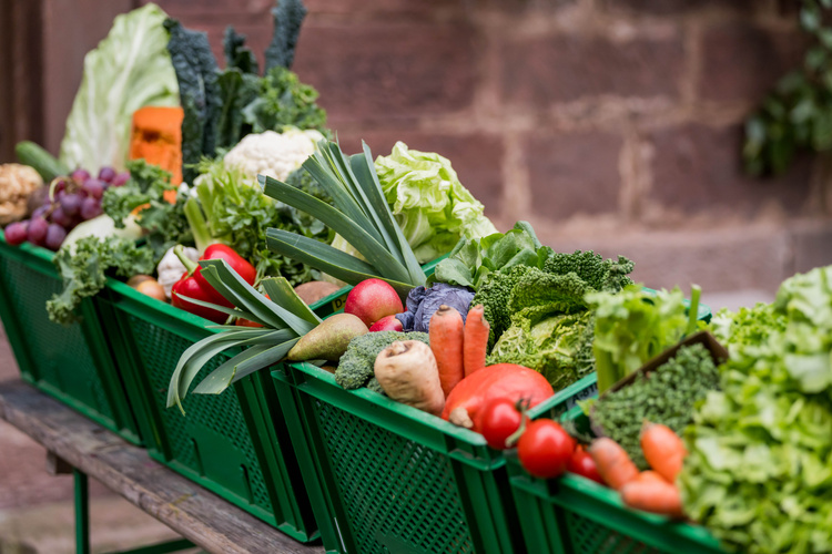 KI generiert: Frisches Obst und Gemüse in grünen Kisten auf einem Tisch arrangiert.