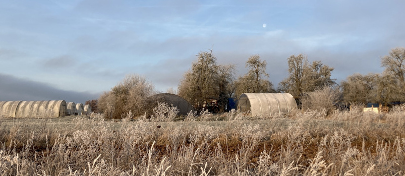 Gärtnerei im Winterschlaf