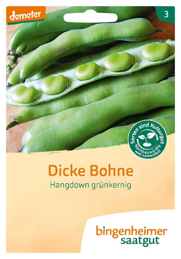 Produktfoto zu Dicke Bohne Saatgut