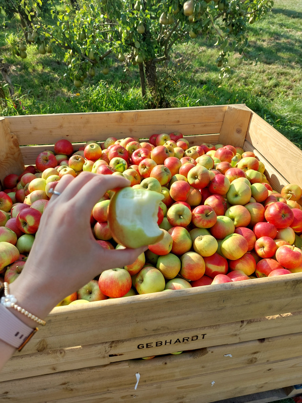angebissener Apfel