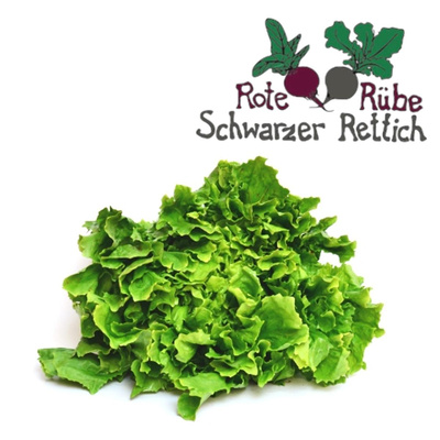 Produktfoto zu Salat, Endivie